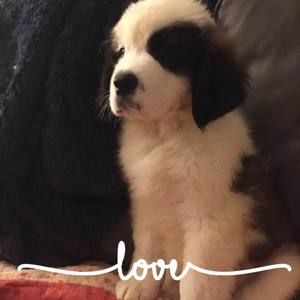 Meet your Posher, Jacquelyn